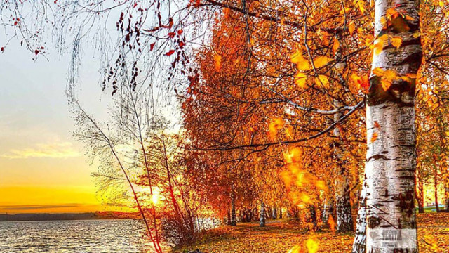 Овен Днес ще бъдете удивителен целител за своя любим човек