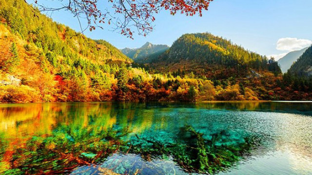 Овен С вашето уникално себеизразяване и визия вие сте в