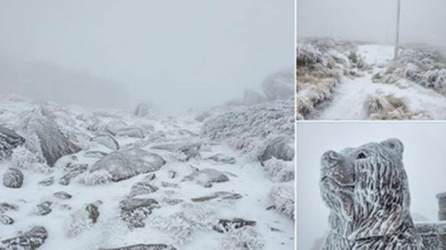 На Черни връх падна първият сняг Снимките бяха публикувани от
