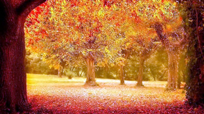 Овен Продължавайте да вървите по пътя на стимулите. В дадения