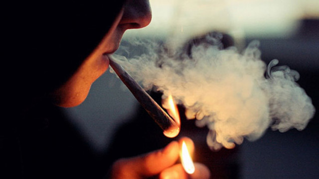 Марихуаната уврежда белите дробове повече от цигарите