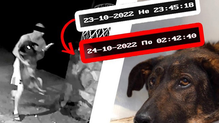 Ултрас от „Левски“ изтезава кучета и котки от години (ВИДЕО)