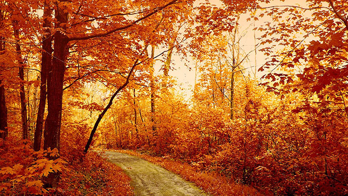 Овен Много трудно ще можете днес да угодите на своя