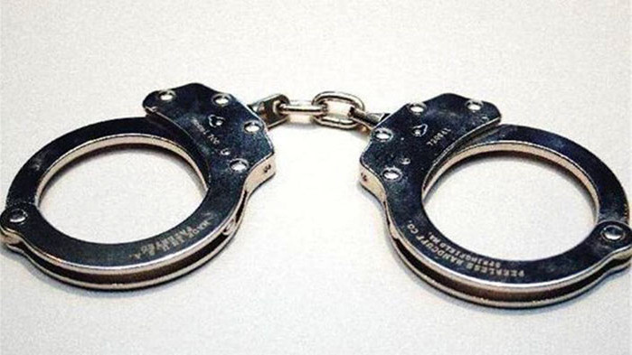 Пилотът, хванат да тегли детско порно, е нидерландец. Варненец теглил само картинки с момченца