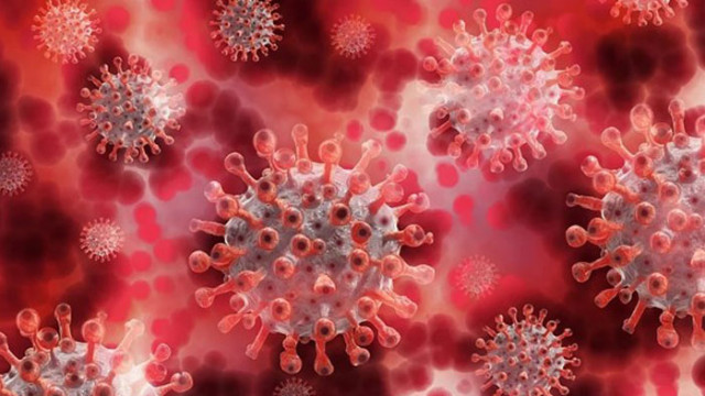 84 са новите случаи на коронавирус у нас през последното