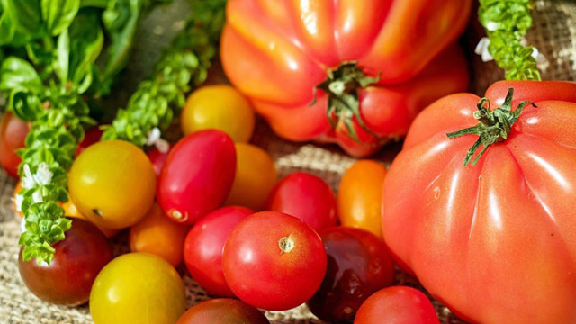 Уникално вкусни и оригинални сортове домати от Аграра!