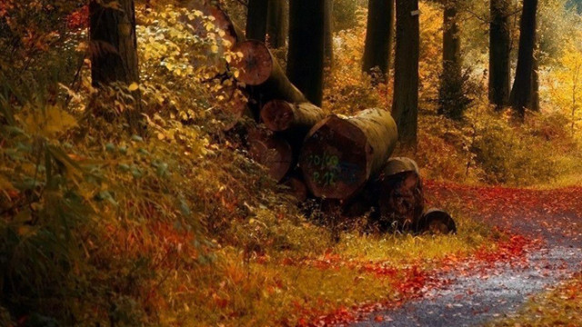 Овен Днес на Вашия любим човек ще се струва че