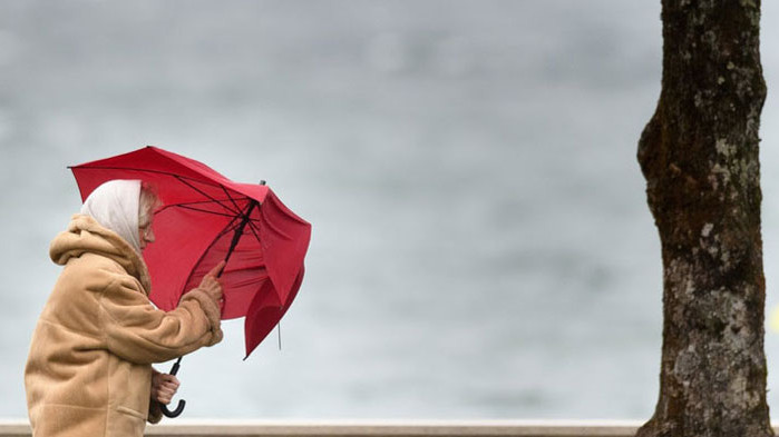 В четвъртък преди обяд в северозападните райони, а до края