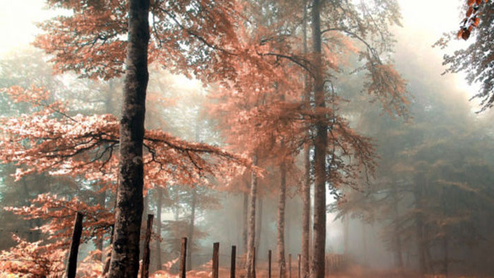 Овен Ще си дадете сметка, че всичко, което сте правили,