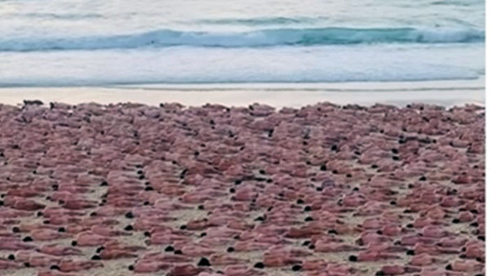 Хиляди австралийци се снимаха голи