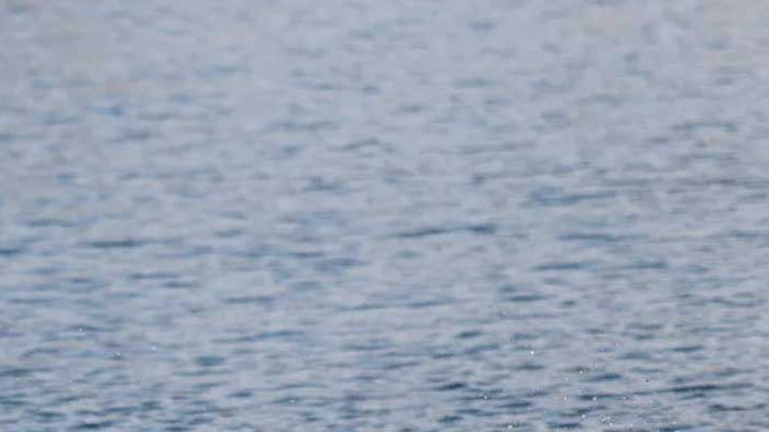 Издирват се двама мъже, които са в неизвестност, след като