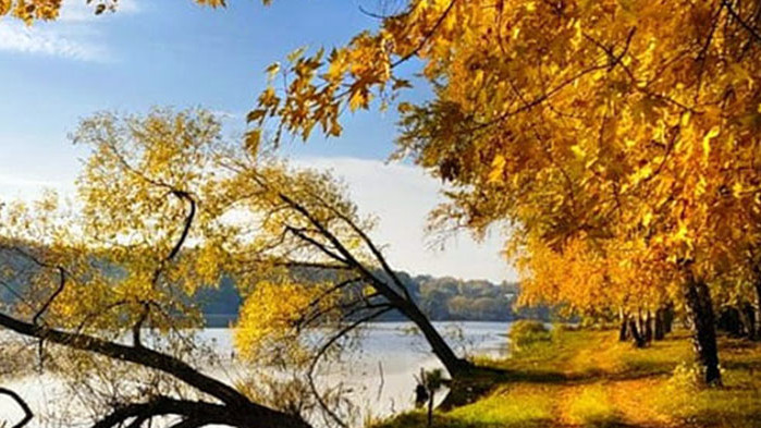 Овен Овните за този ден трябва да си плануват тиха