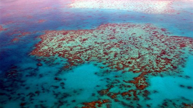 Комисия подкрепяна от ООН предлага Големият бариерен риф да бъде