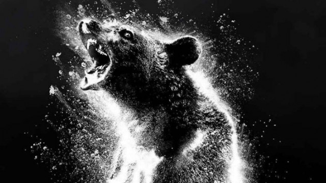 Cocaine Bear: Трейлър на филма за предозирала с кокаин мечка