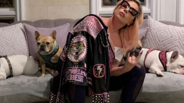 Обвинен в кражба на кучетата на Лейди Гага мъж когато