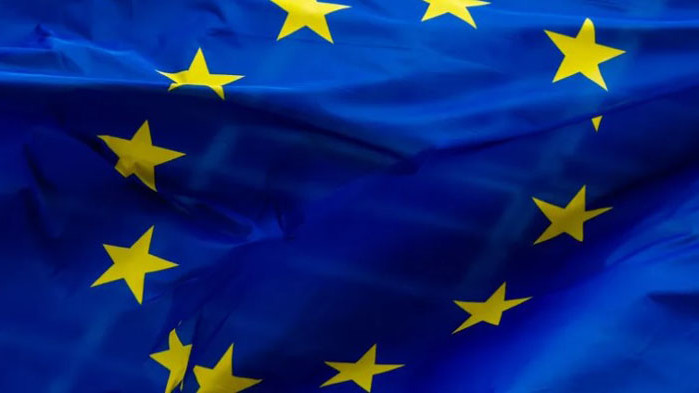 ЕС призова РСМ да преследва и осъди проявите на омраза срещу българите