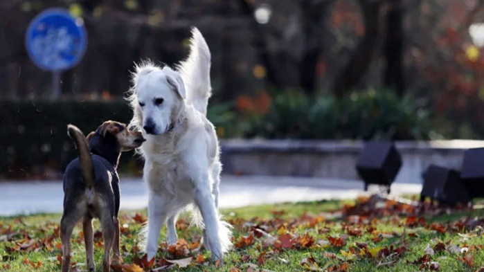 От организацията призоваха при подаване на сигнали гражданите да имат