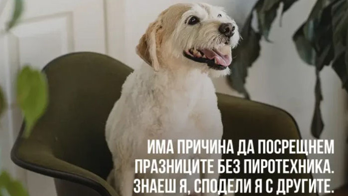За поредна година Четири лапи“ започва кампания, в която призовава