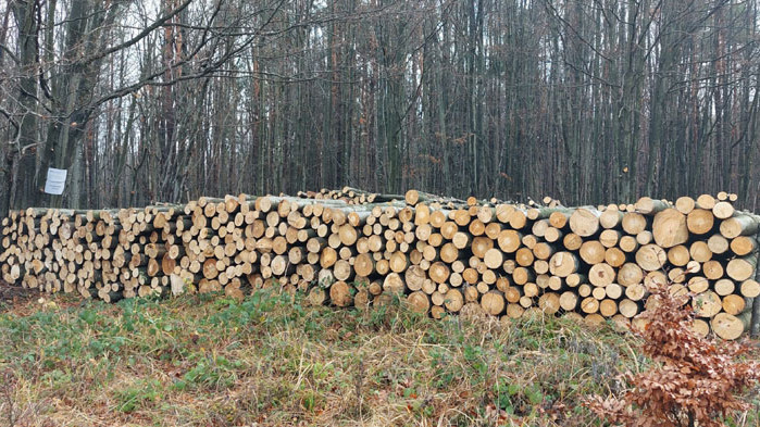 250 000 кубика дърва са предоставени на населението от Североизточна