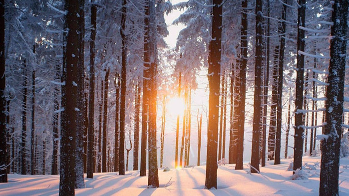 Овен Може да решите отдавнашни проблеми и да сложите край