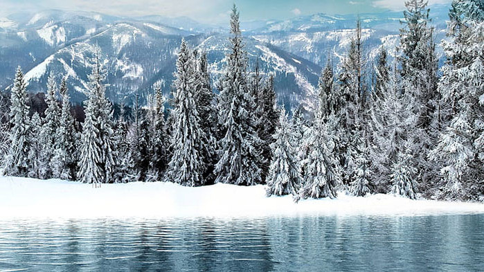 Овен Много се срамувате за нещо пред Вашата половинка. Май