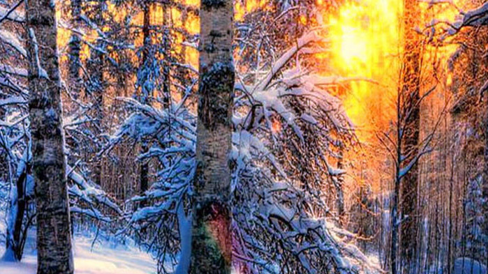 Овен При възможност ограничете кръга от хора, с които ще