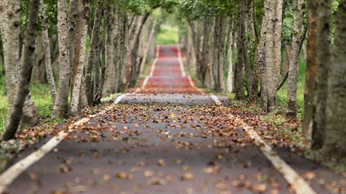 Топло и без сняг ще е времето в новогодишната нощ,