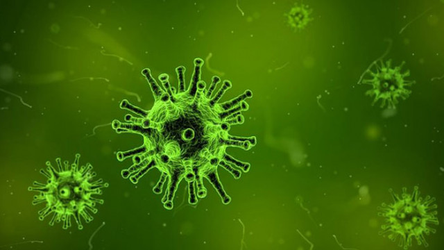 Румъния е на крачка от грипна епидемия съобщава телевизия Диджи24