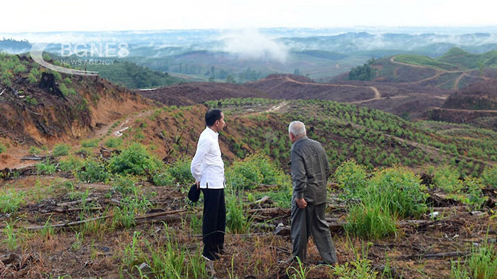 Индонезия премества столицата си от Джакарта в тропическите гори на