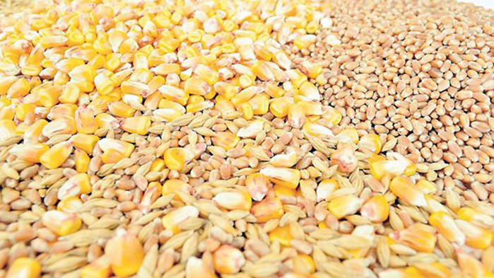 Над 17 млн. тона зърно са били изнесени през Черноморския