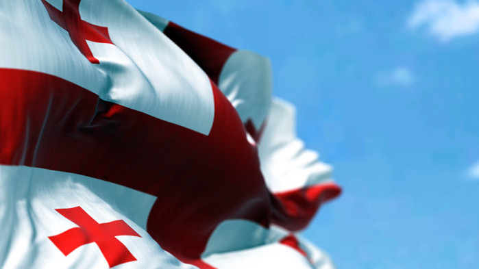 Грузия няма да оказва военна помощ на Украйна, за да