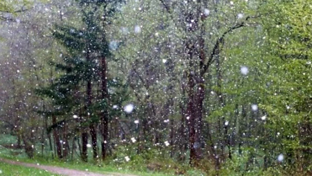 Много люти студове не ни очакват подчерта климатологът Предстоят ни