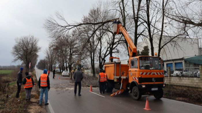Затварят улица за отстраняване на опасни клони на 19 януари във Варна