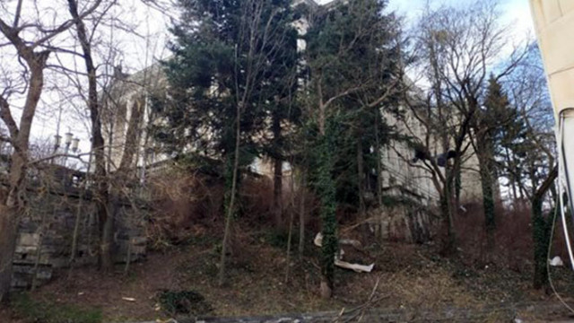 Вятър с пориви над 80 километра в час връхлетя Габрово