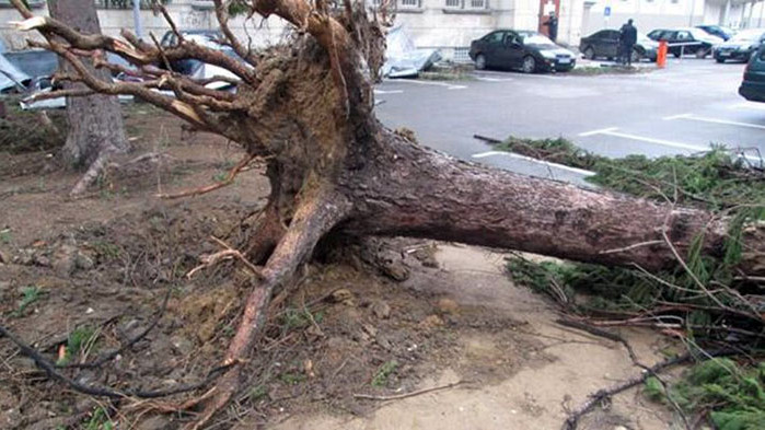 На повече от 20 сигнала са реагирали служителите на противопожарните