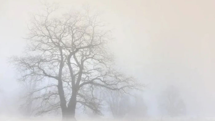 До 50 метра е намалена видимостта поради мъгла в участъка