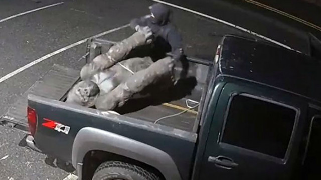 Полицията в САЩ издирва мъж, откраднал статуя на горила от магазин за антики