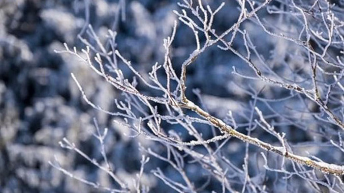 През нощта на места ще има превалявания, предимно от сняг,