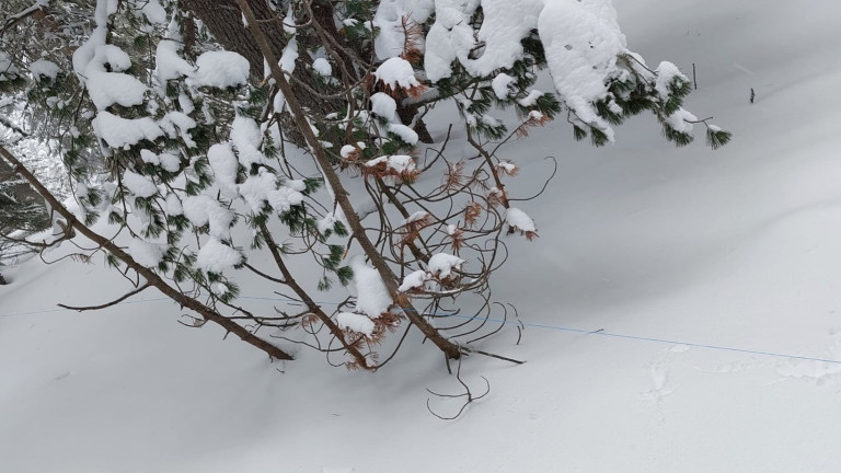 В гората под хижа Рилски езера около 17 стълб на лифта беше