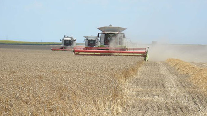 През последните 15 години България трайно заема второ място на