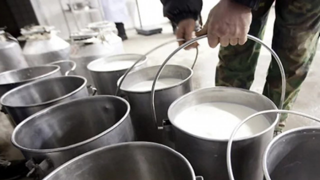 Фермери: Цената на млякото се срина