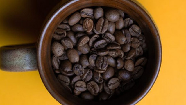Кръвното спада с увеличаване на чашите кафе до 4 на ден