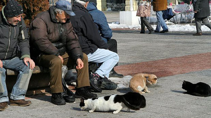 518,13 лв. е била средната инвалидна пенсия у нас през