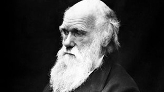 Теорията на еволюцията Когато Чарлз Дарвин за първи път е
