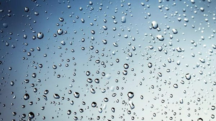 Февруари ни изненада с пролетни температури, които няколко дни надхвърлят