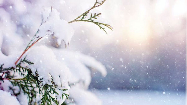 Ветровито но с температури доста над обичайните за края на