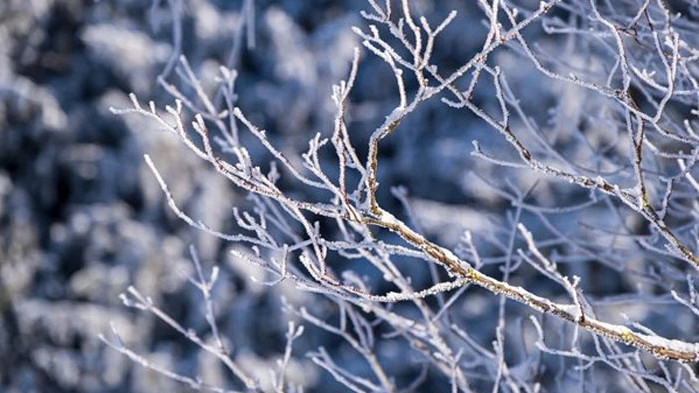 През деня ще превалява слаб дъжд в западните и централните