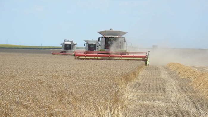 За поредна седмица продължава спадът в цените на повечето основни