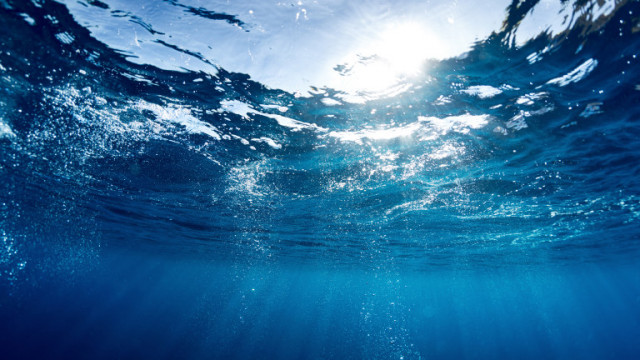 Държавите постигнаха историческо споразумение за защита на океаните