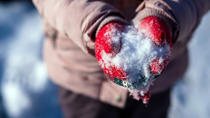 Въпреки че студът и ниските температури често ни служат като